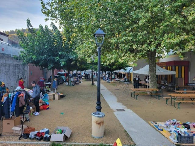 Allée de platanes lors d'une manifestation du village